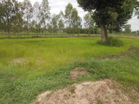 DSCN1122.JPG