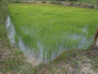 DSCN1121.JPG