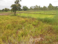 DSCN1126.JPG
