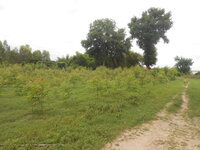 DSCN1131.JPG