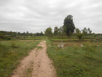 DSCN1134.JPG
