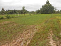 DSCN1128.JPG