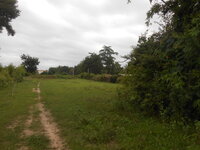 DSCN1133.JPG