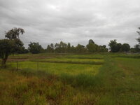 DSCN1127.JPG