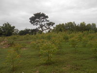 DSCN1132.JPG