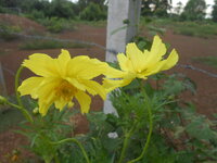 DSCN0167.JPG