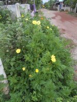 DSCN0168~2.JPG