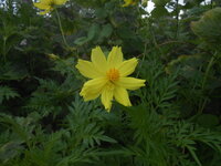 DSCN0165.JPG