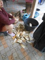 DSCN1142~2.JPG