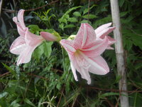 DSCN1894.JPG