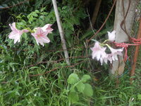 DSCN1893.JPG