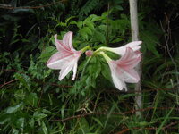 DSCN1891.JPG
