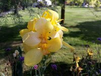 IMG-20240823-WA0034.jpg