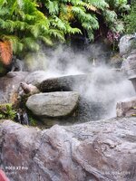 IMG_20250519_170352.jpg