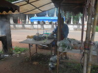 DSCN1203.JPG