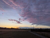 PXL_20250720_195340162.jpg