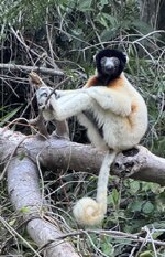 IMG_1856.jpeg