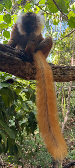 IMG_2023.jpeg