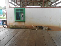 DSCN1214.JPG