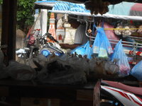 DSCN1211.JPG