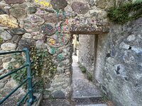 IMG_7535.jpeg