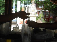 DSCN1224.JPG