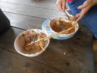 DSCN1218.JPG