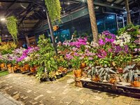 IMG_20241107_235733.jpg