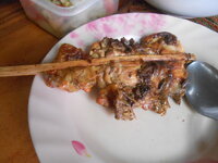 DSCN1227.JPG