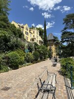 IMG_7517.jpeg
