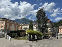 IMG_7560.jpeg