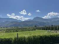 IMG_7566.jpeg