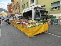 IMG_7623.jpeg