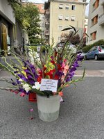 IMG_7629.jpeg