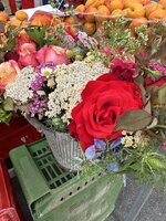 IMG_7649.jpeg