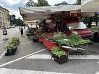IMG_7690.jpeg