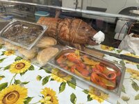 IMG_7749.jpeg