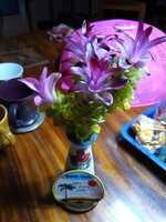 IMG_20250620_202929_520.jpg