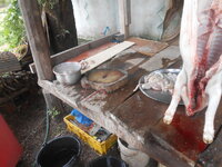 DSCN1285.JPG