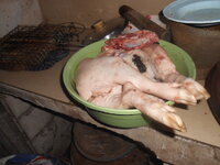 DSCN1296.JPG