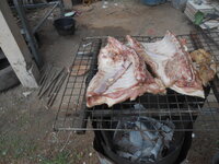 DSCN1303.JPG