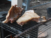 DSCN1306.JPG
