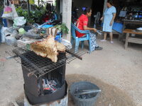 DSCN1305.JPG