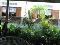 DSCN1310.JPG