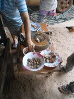 DSCN1317~2.JPG