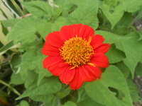 DSCN1274.JPG