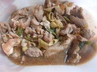 DSCN0025.JPG