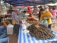 DSCN1377.JPG