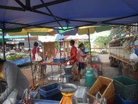 DSCN1382.JPG