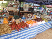 DSCN1381.JPG